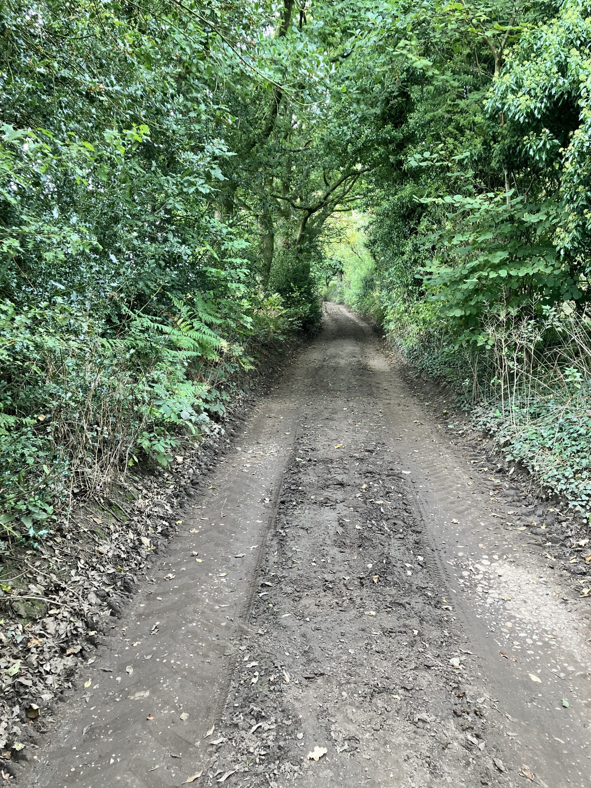 RideStaffs Made of Stone Route: Near the top of RIdeStaffs Sector 25 the road is mostly dirt